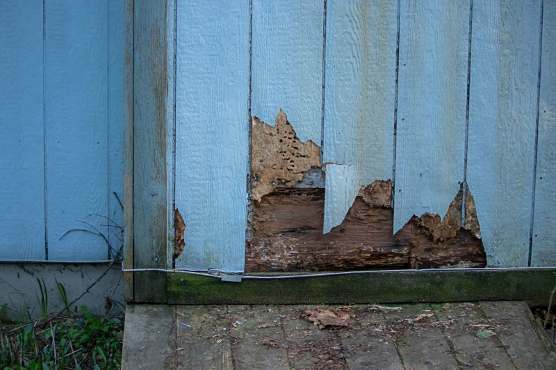 Siding Repair Services